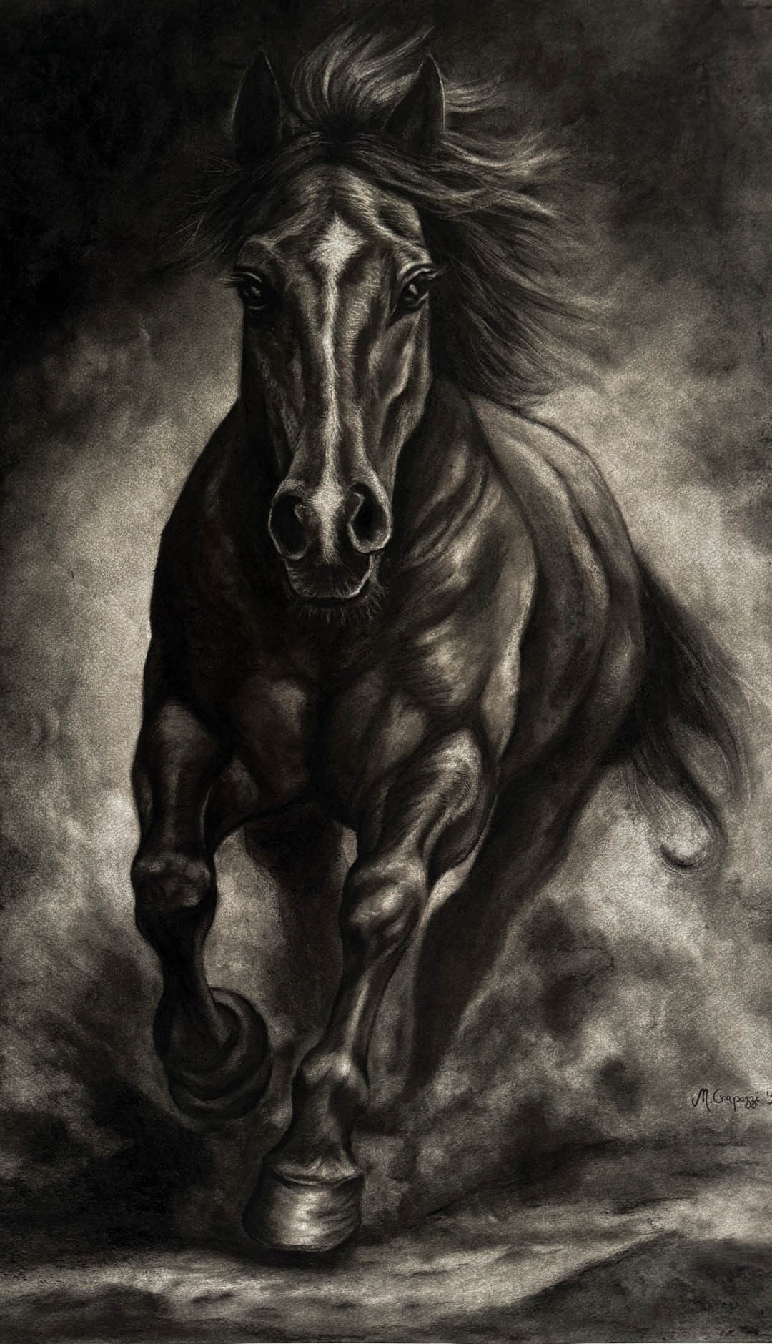 Carboncillo de un caballo al galope de frente, la crin al viento y el cuerpo emergiendo de un fondo de polvo y sombra.