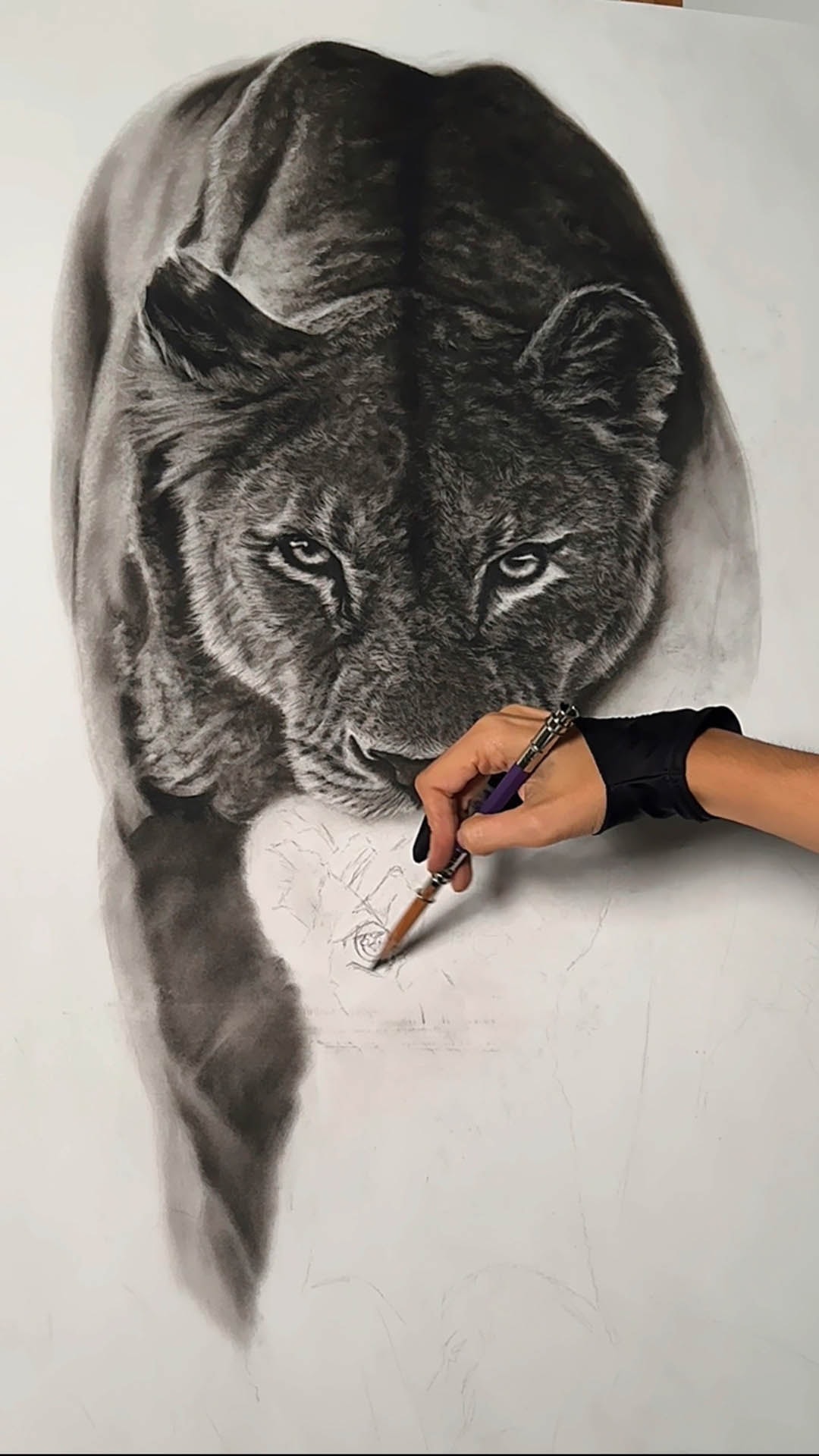 La mano enguantada de Mariela Crapuzzi trabajando con carboncillo sobre el dibujo de una leona ya resuelta, mientras la cría es todavía un trazo de contorno.